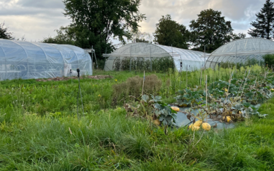 Compte Goutte – Épisode 1